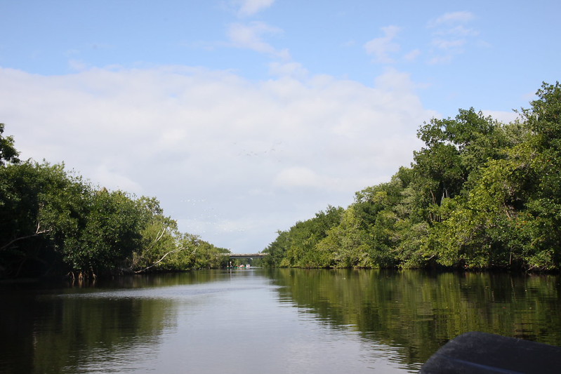 Day Two: Royal Palm And Flamingo In Everglades National Park