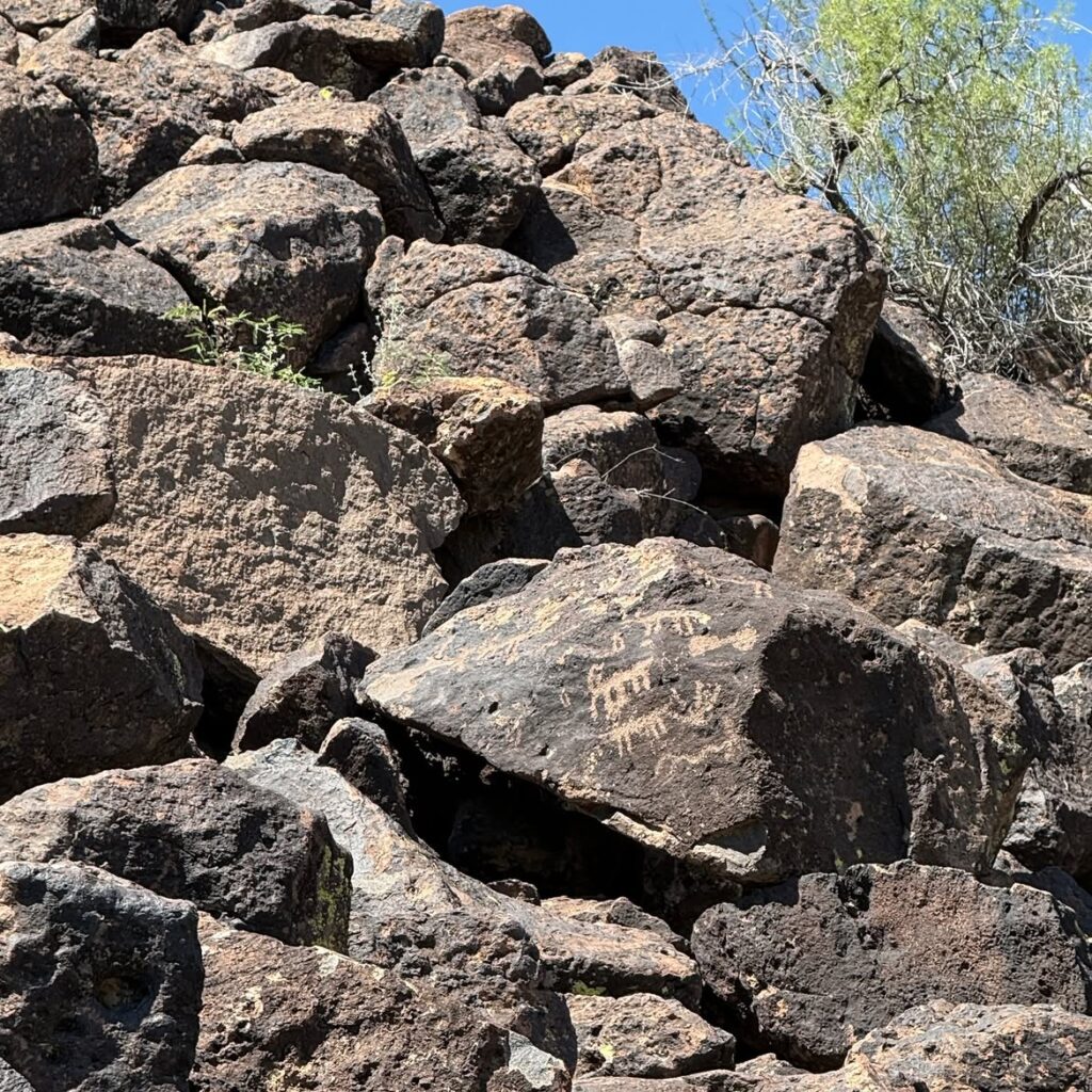 Deer Valley Petroglyph Preserve