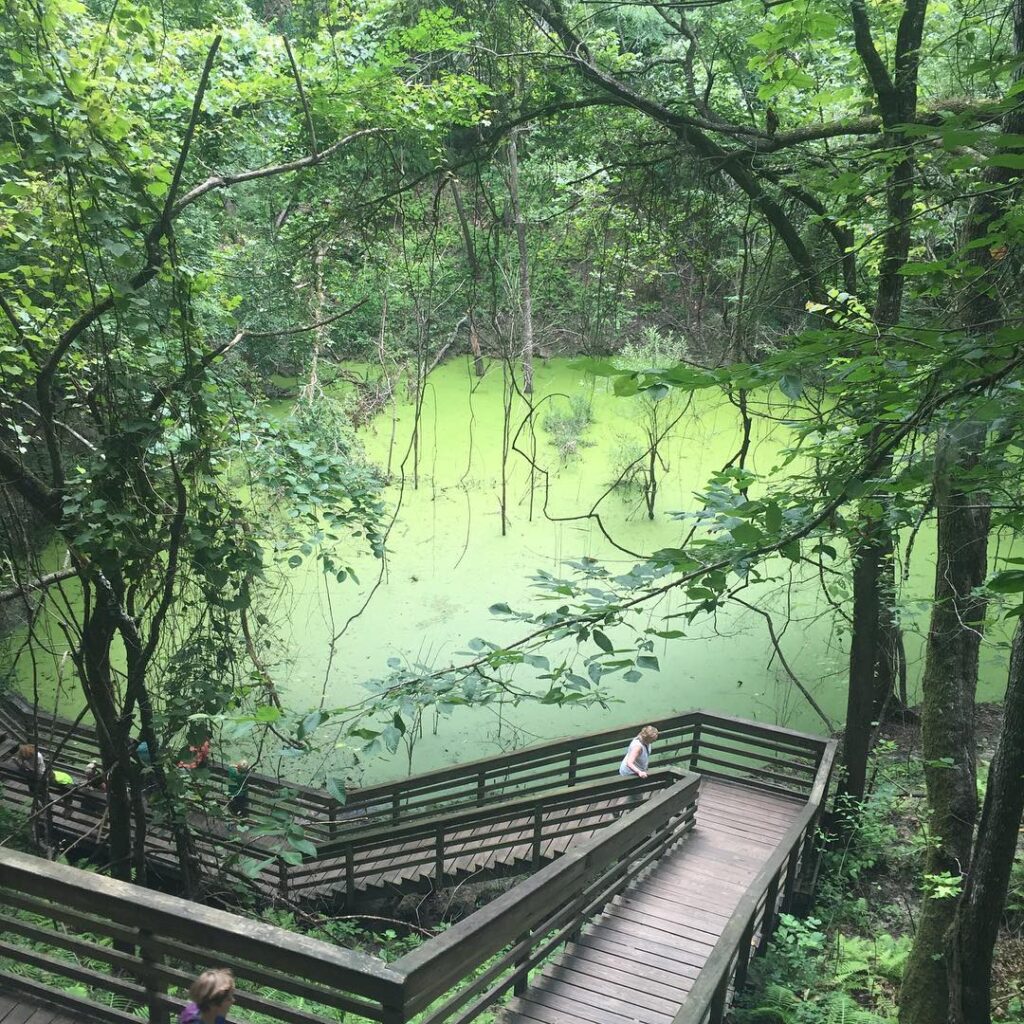 Devil’s Millhopper Geological State Park