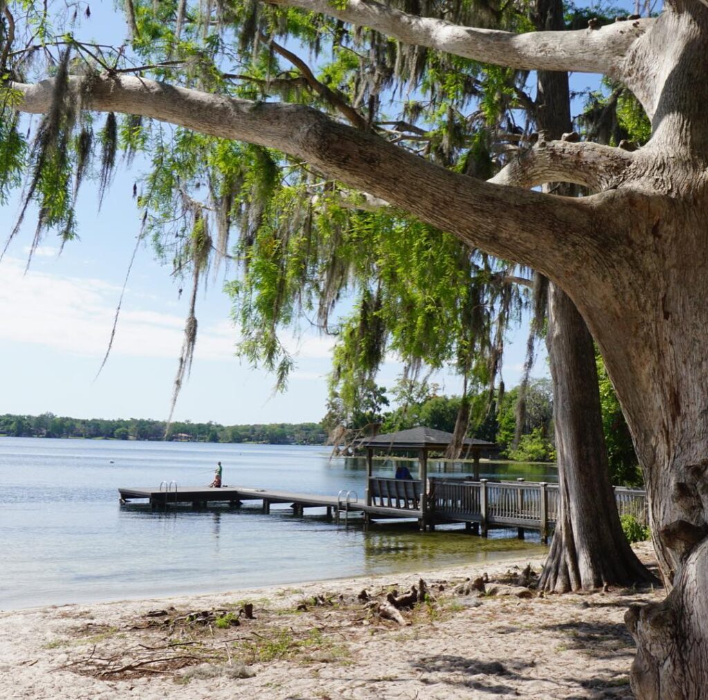 Dinky Dock Park: Spend a Quiet Afternoon by Lake Virginia