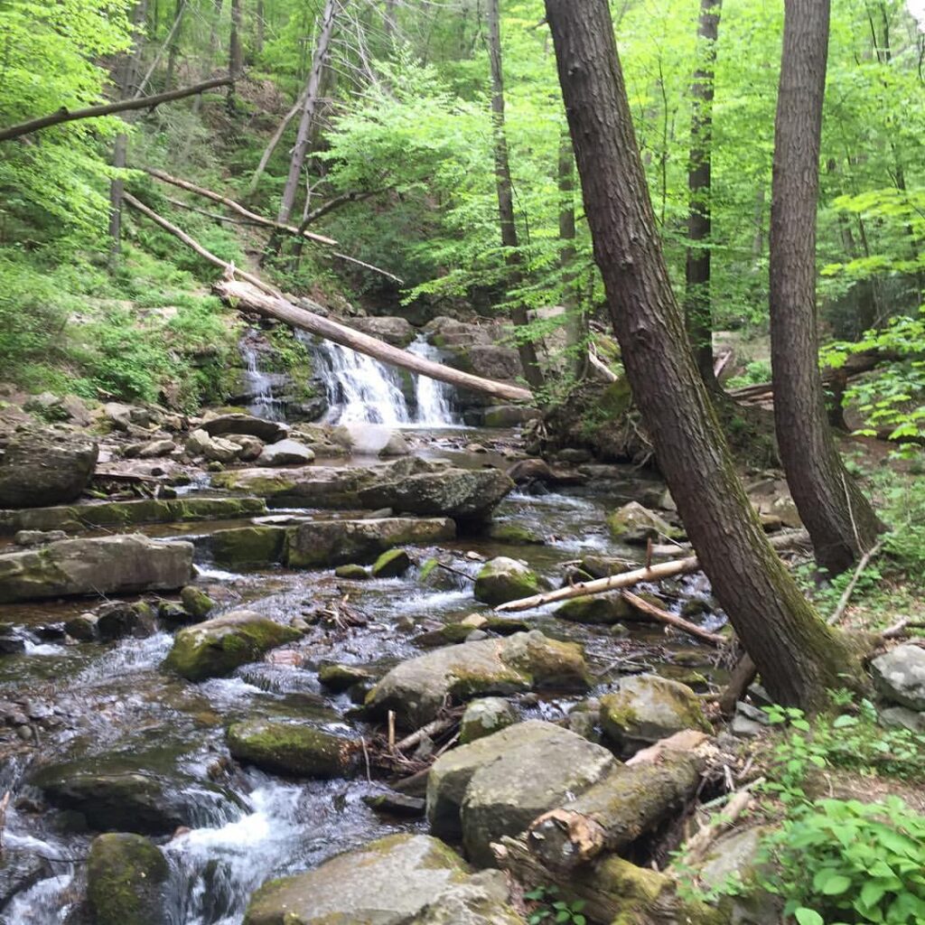 Dunnfield Creek Falls, Columbia