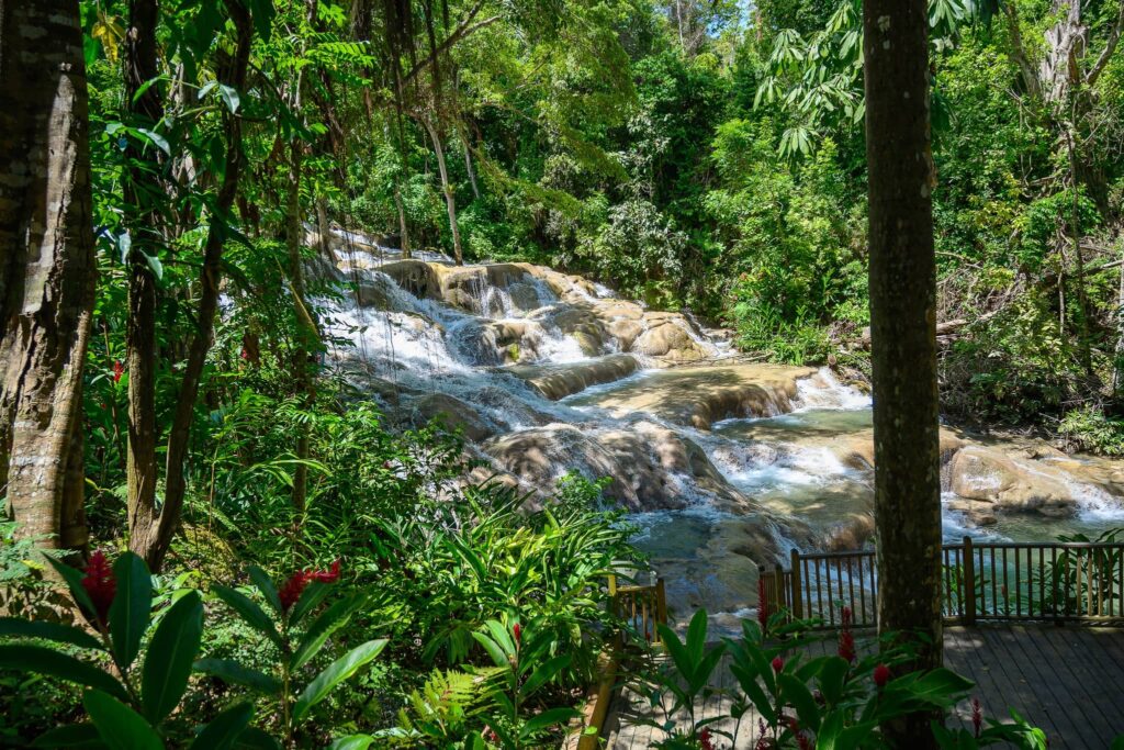 Dunn’s Falls Park, Enterprise
