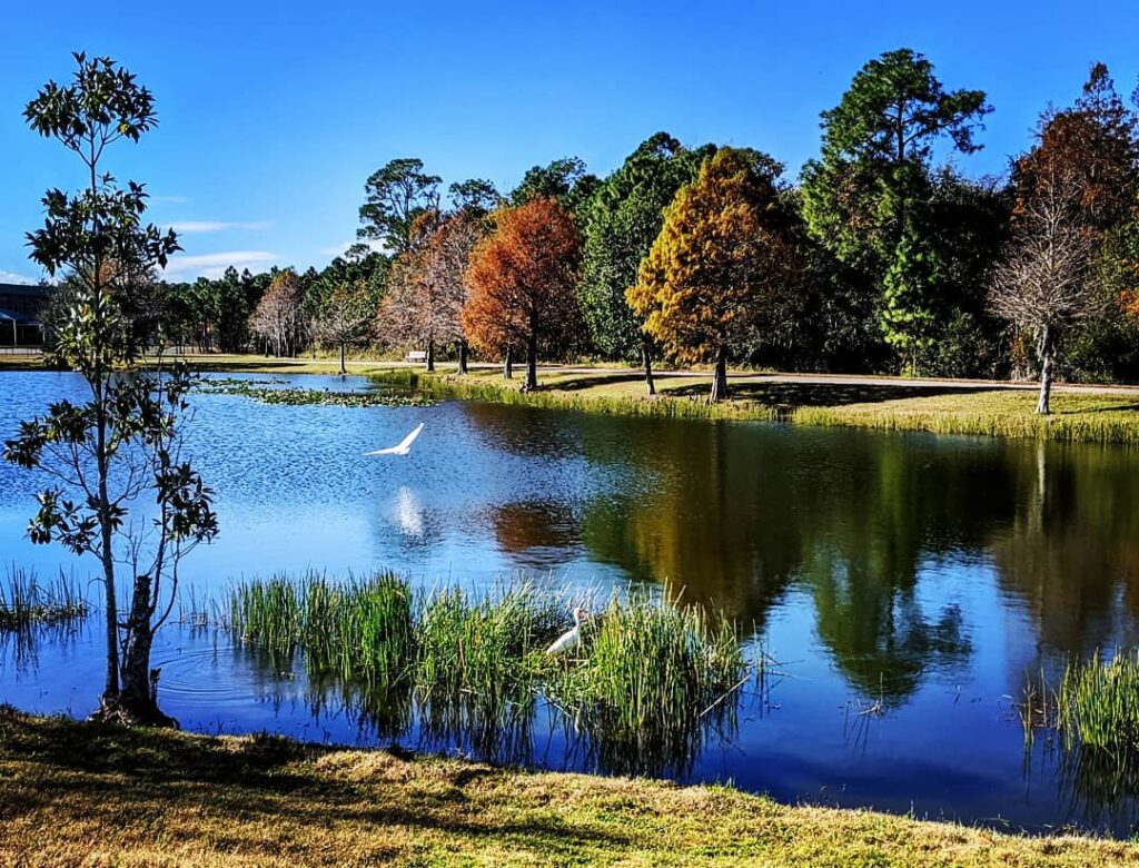 Eagle Nest Park: A Quiet Orlando Trail With Secluded Paths, Clean Grounds, and Picnic Pavilions