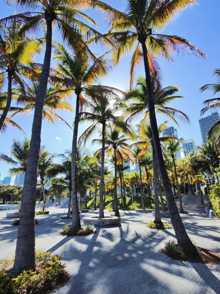 Extra Downtown Miami Stops
