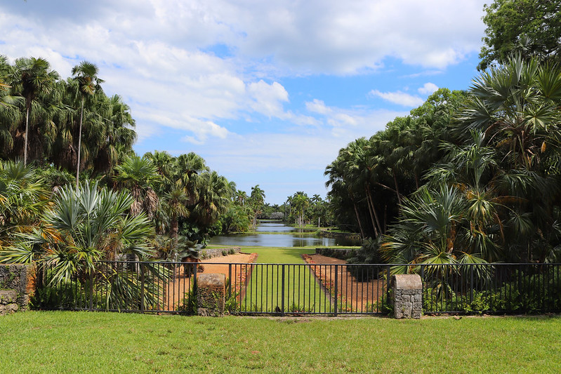 Fairchild Tropical Botanic Garden: A Green Escape From Busy Miami
