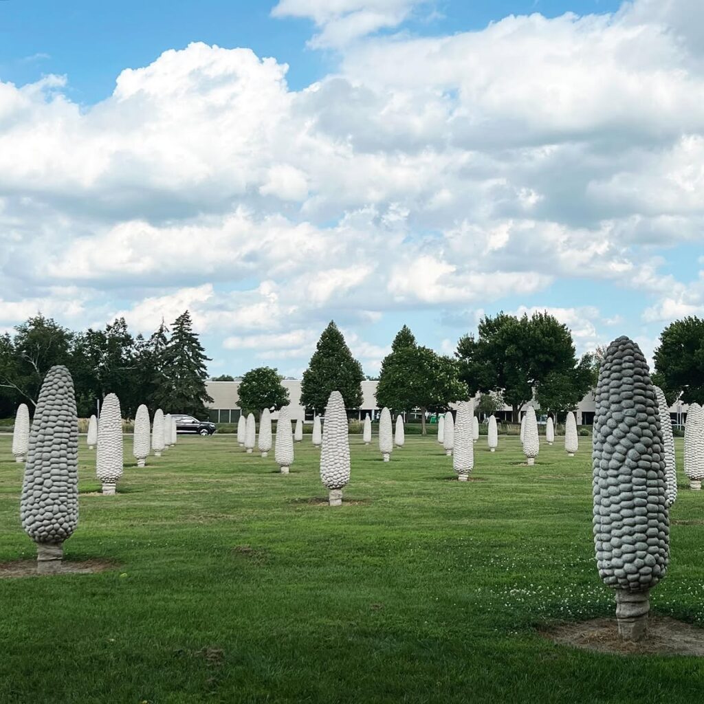 Field of Corn, Dublin