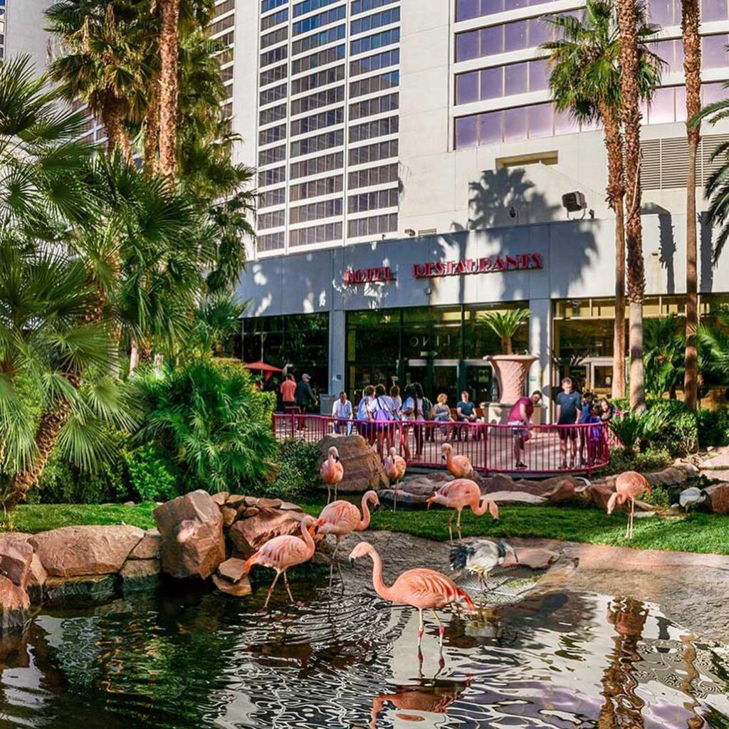 Flamingo Wildlife Habitat: A Free Animal Stop on the Strip