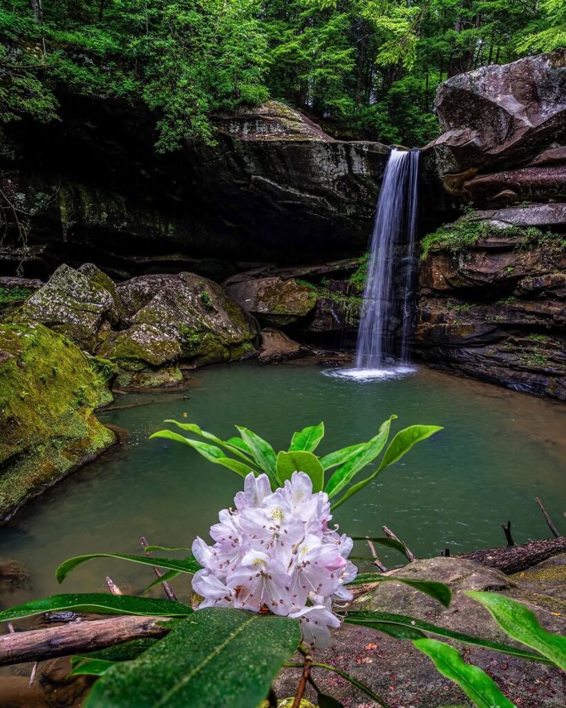 Flat Lick Falls