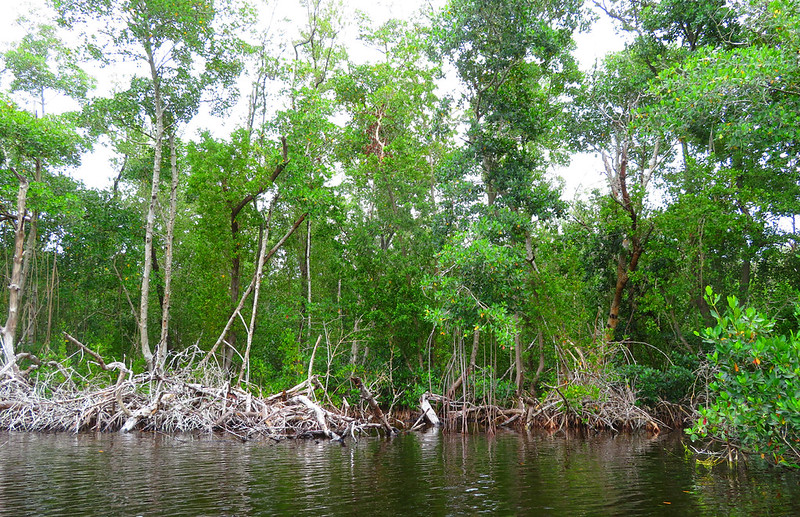 Florida National Parks Itinerary With Less Time