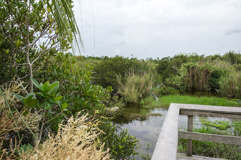Florida National Parks Itinerary With More Than One Week