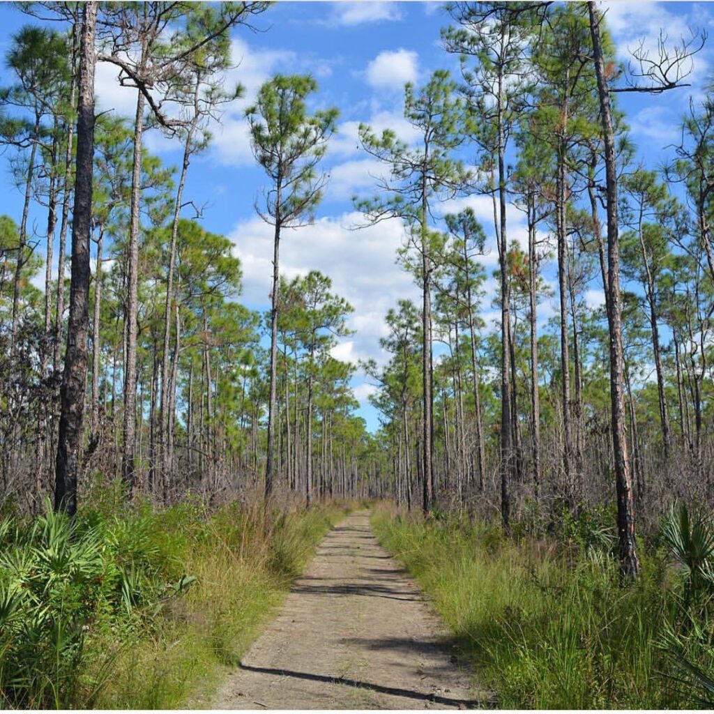 Florida National Parks One-Week Itinerary