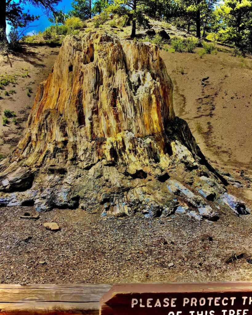 Florissant Fossil Beds National Monument
