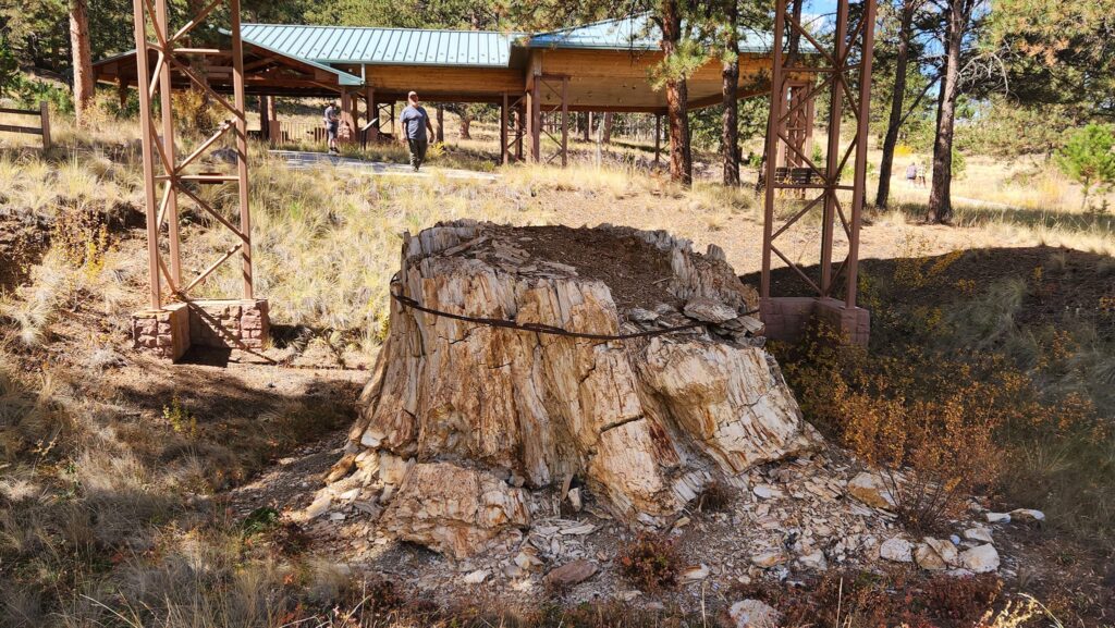 Florissant Fossil Beds National Monument in Florissant