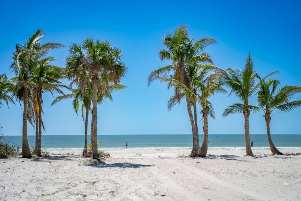 Fun Things To Do in Naples, Florida, That Feel Like a Gulf Coast Paradise