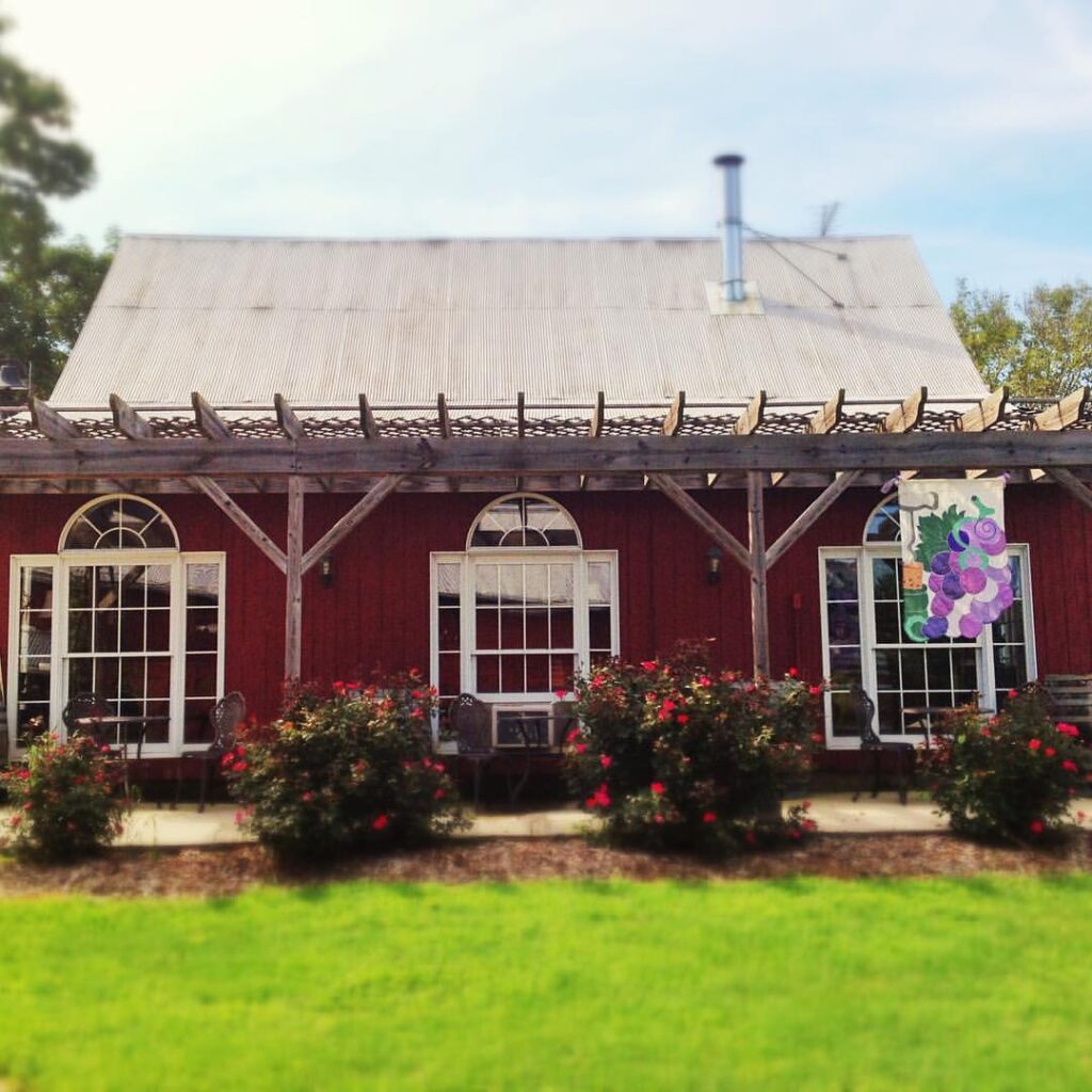 Galloping Goose Vineyards