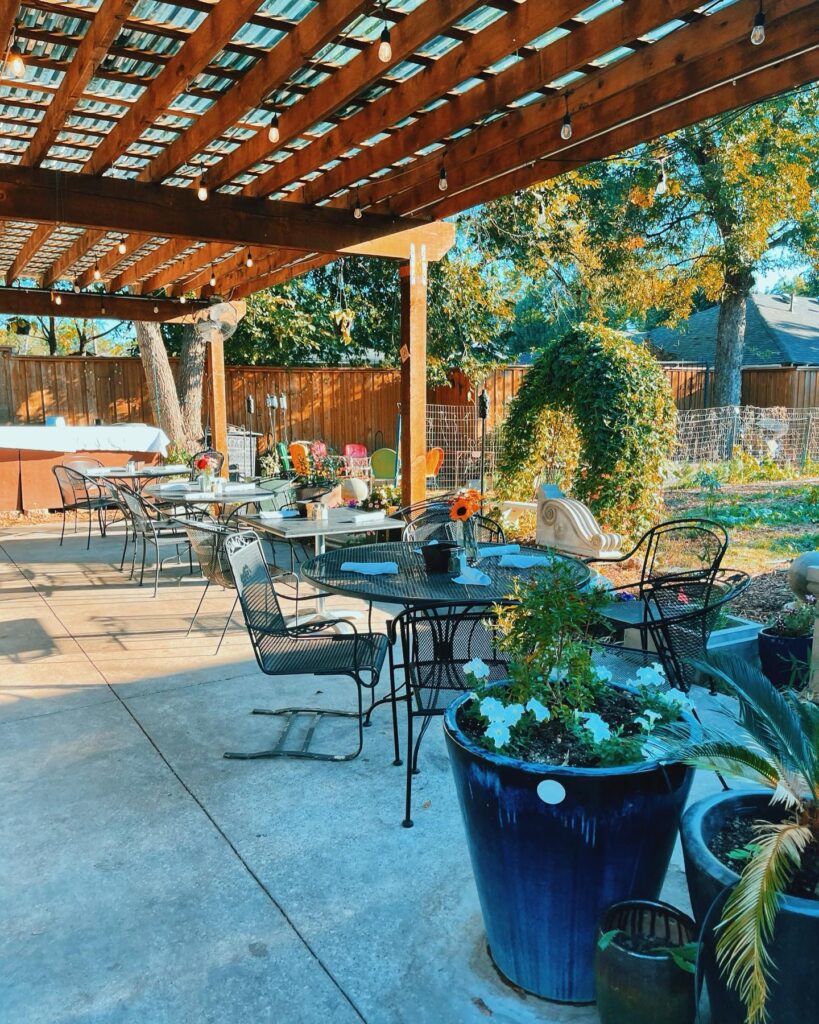 Garden Cafe Fresh Meals Beside a Leafy Courtyard