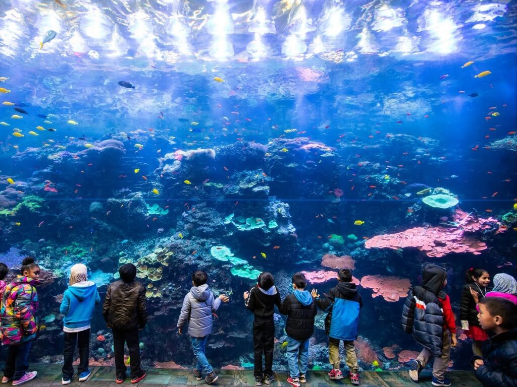 Georgia Aquarium