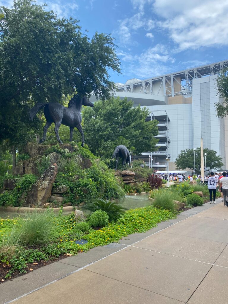 Getting Around Houston
