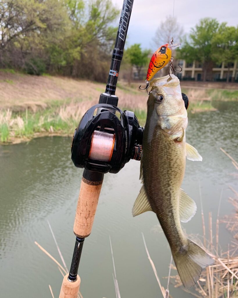 Go Freshwater Fishing