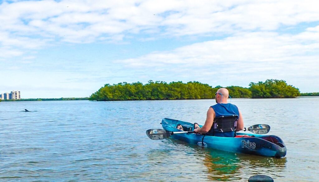 Go Kayaking in Naples Mangroves, Calm Water, and Everglades-Style Scenery