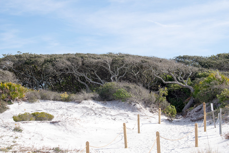 Grayton Beach State Park Dunes, Cabins, Kayaking, and Gulf Coast Beauty
