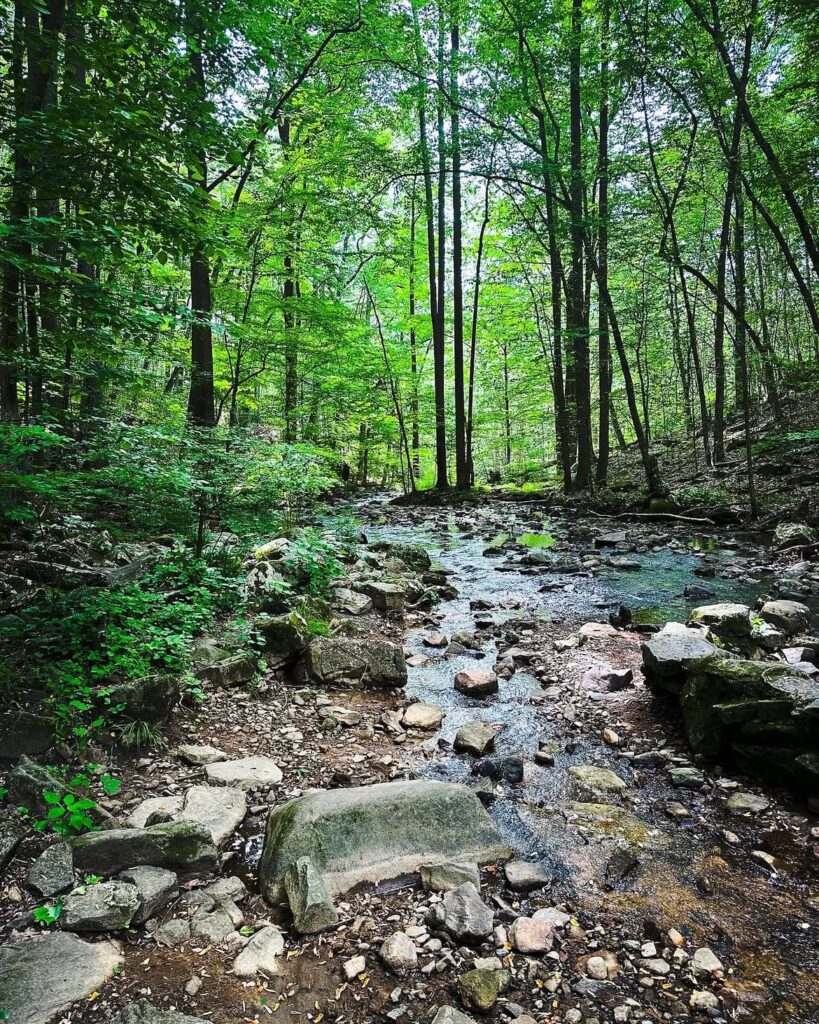 Hacklebarney State Park