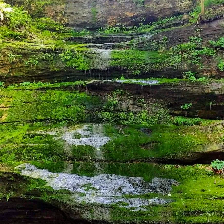 Hickory Canyons, Ste. Genevieve