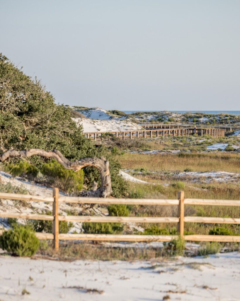 Hike at Deer Lake State Park: See Trails, Dunes, and a Rare Coastal Dune Lake