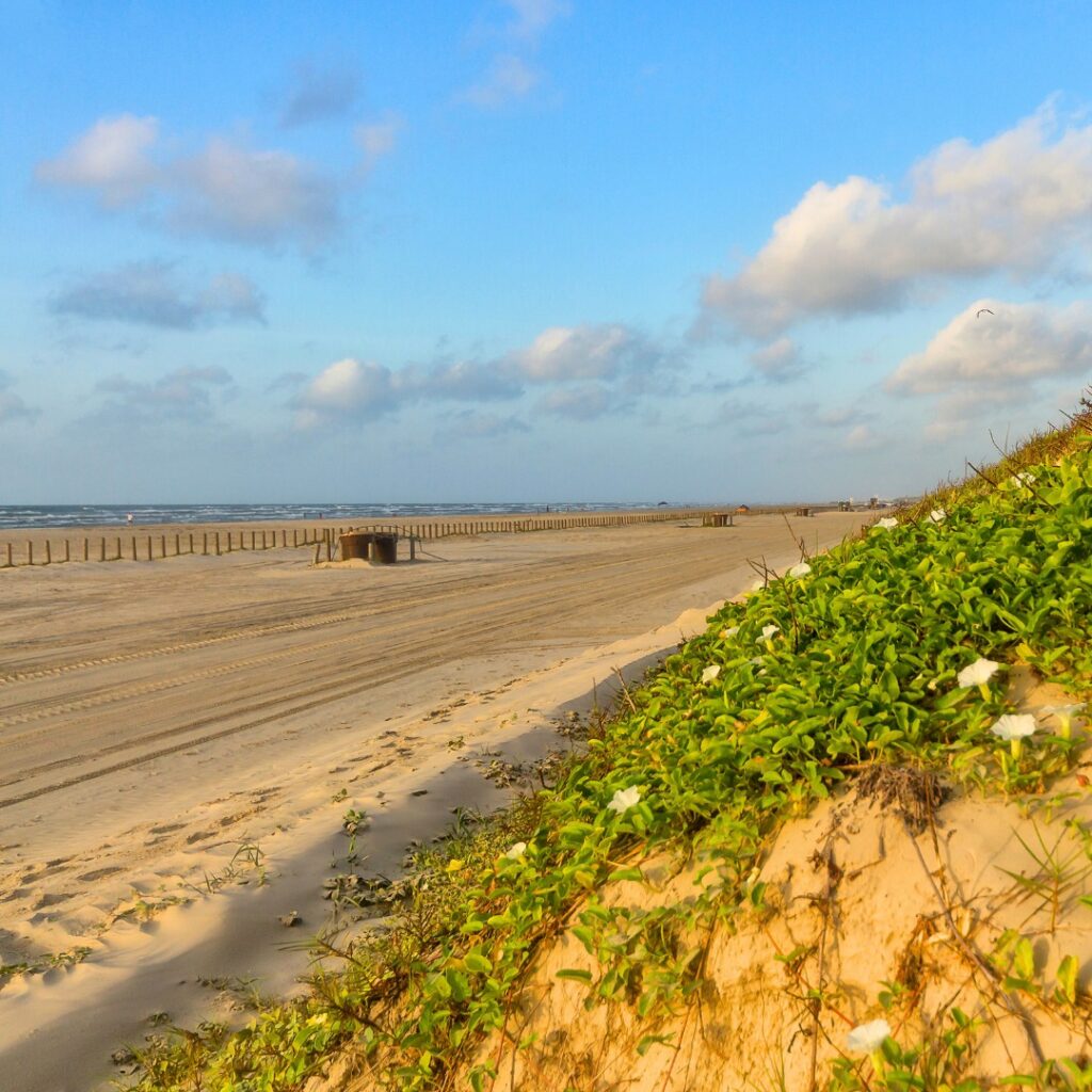 Hit the Beach for a Classic Texas Summer Day