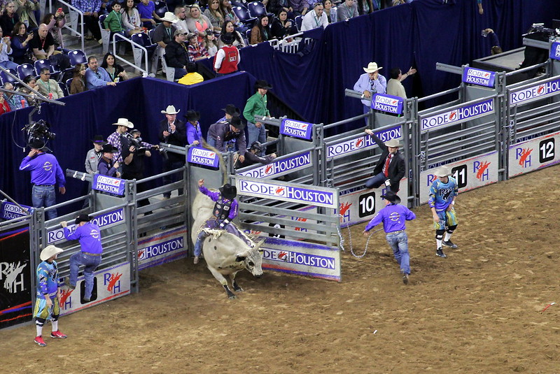 Houston Livestock Show and Rodeo: Experience Texas Traditions at NRG Park