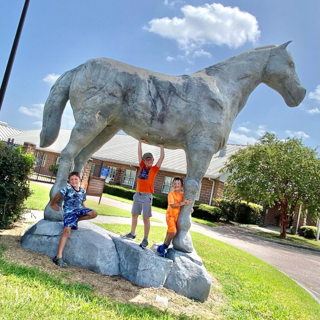 Houston Police Mounted Patrol Barn: Meet and Feed the Horses