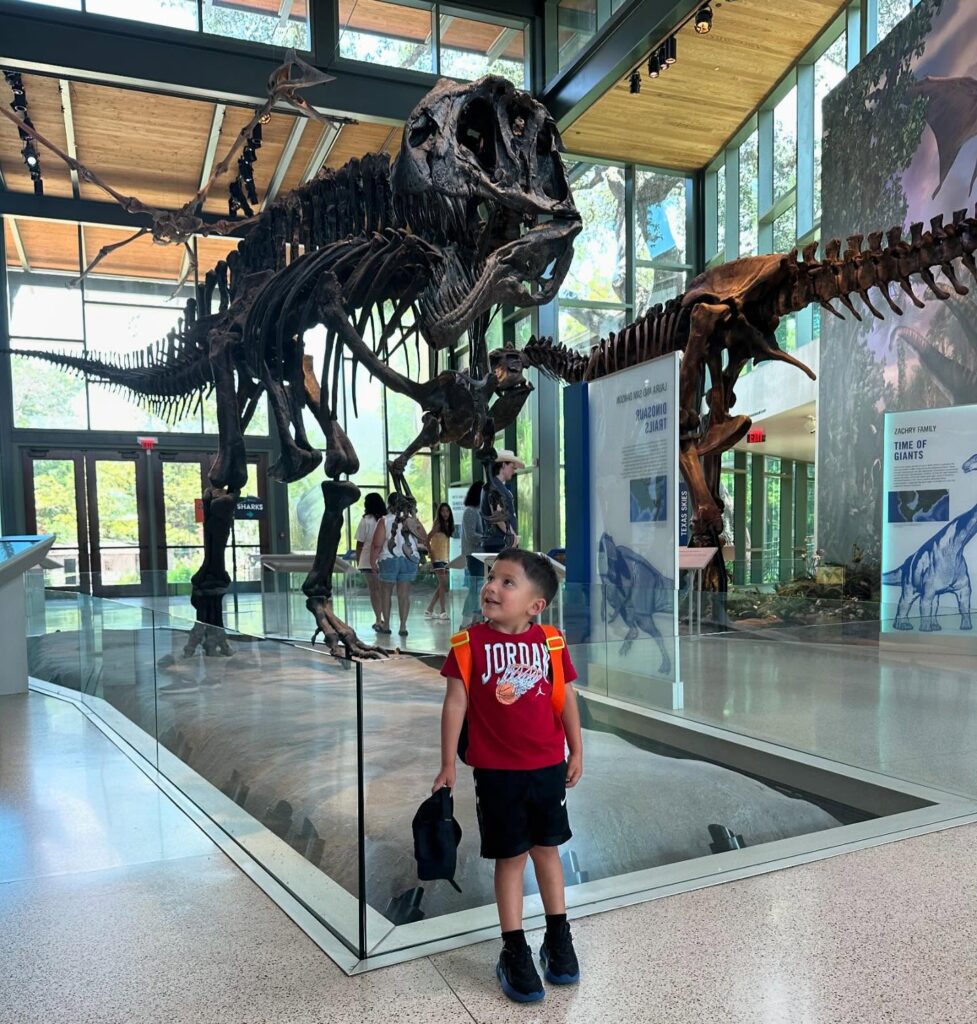 Journey Through Texas History at the Witte Museum