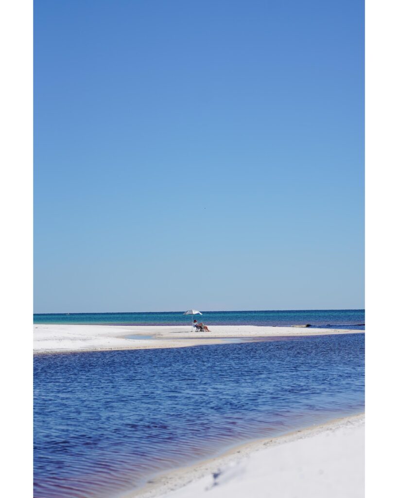 Kayak in the Coastal Dune Lakes: Paddle Through One of 30A’s Most Special Landscapes