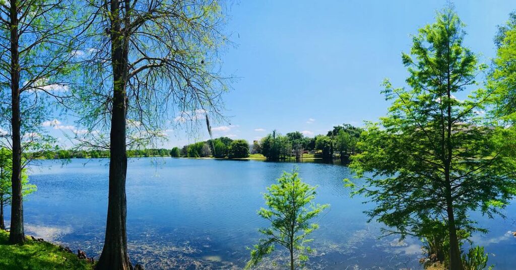 Lake Estelle Park: A Peaceful Orlando Walking Spot With Lake Views and Quiet Green Space