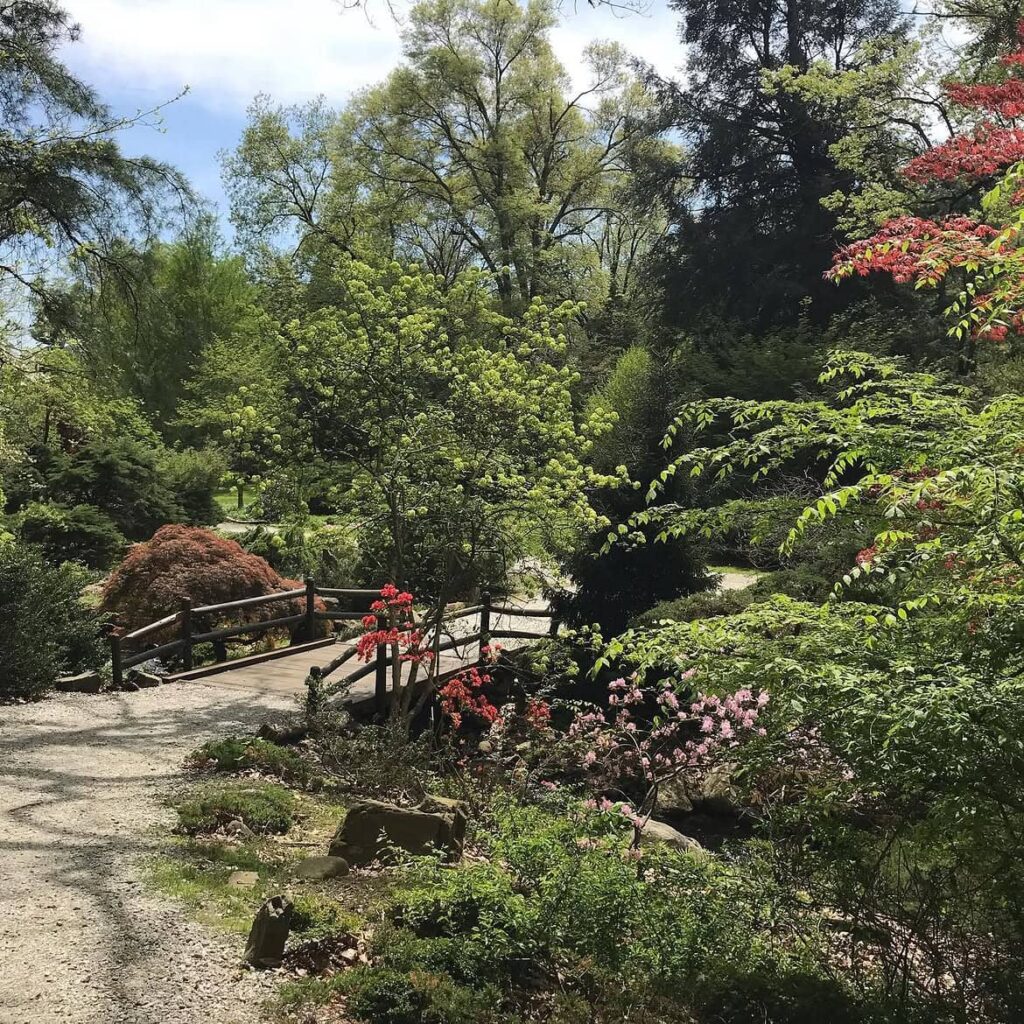Laurelwood Arboretum
