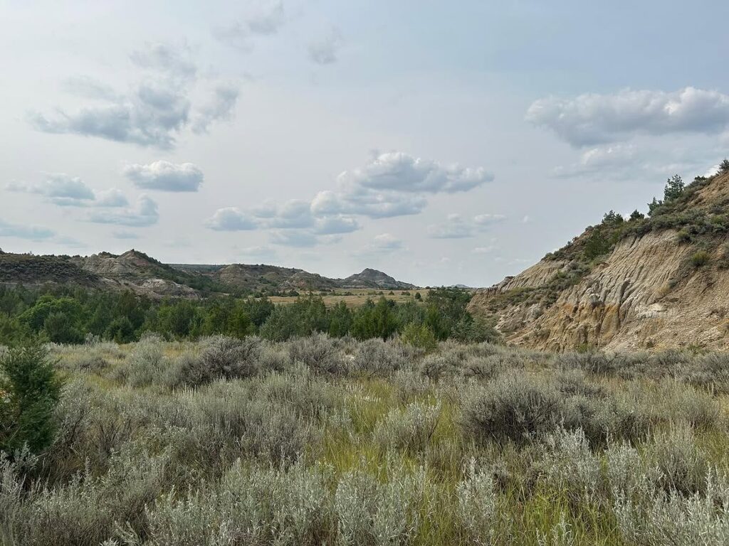 Little Missouri National Grassland