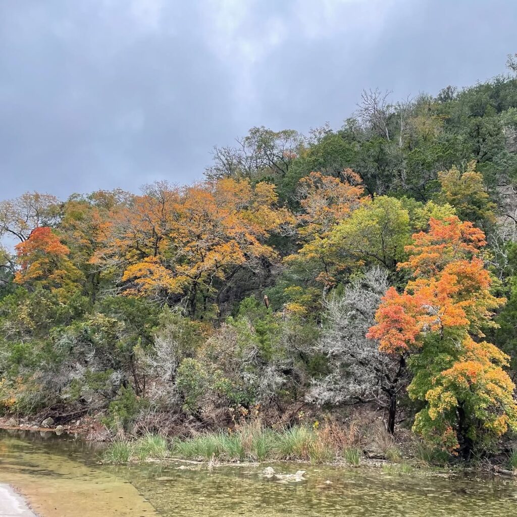 Lost Maples State Natural Area, Vanderpool