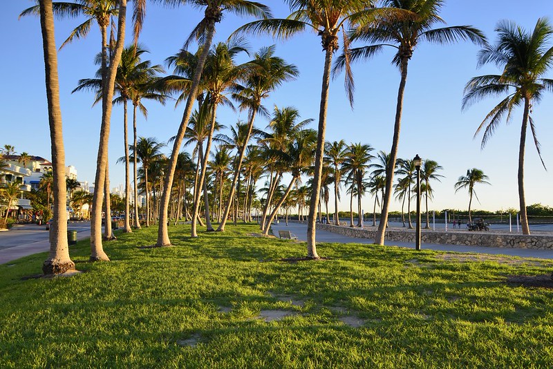 Lummus Park Green Space Beside South Beach