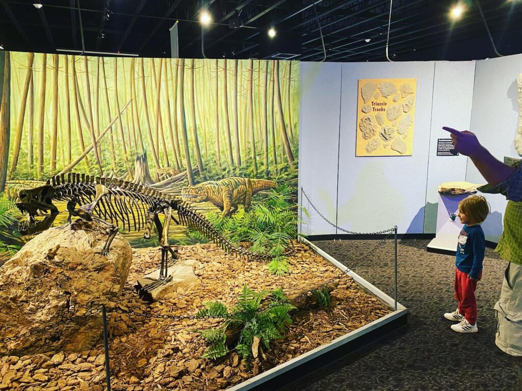 Mesalands Dinosaur Museum