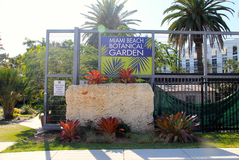 Miami Beach Botanical Garden A Quiet Break from the Shore
