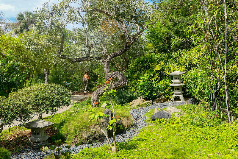 Miami Beach Botanical Garden: Find a Quiet Pause Near South Beach