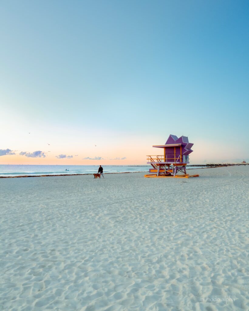 Miami Beach: Spend Your Final Day Beside the Ocean