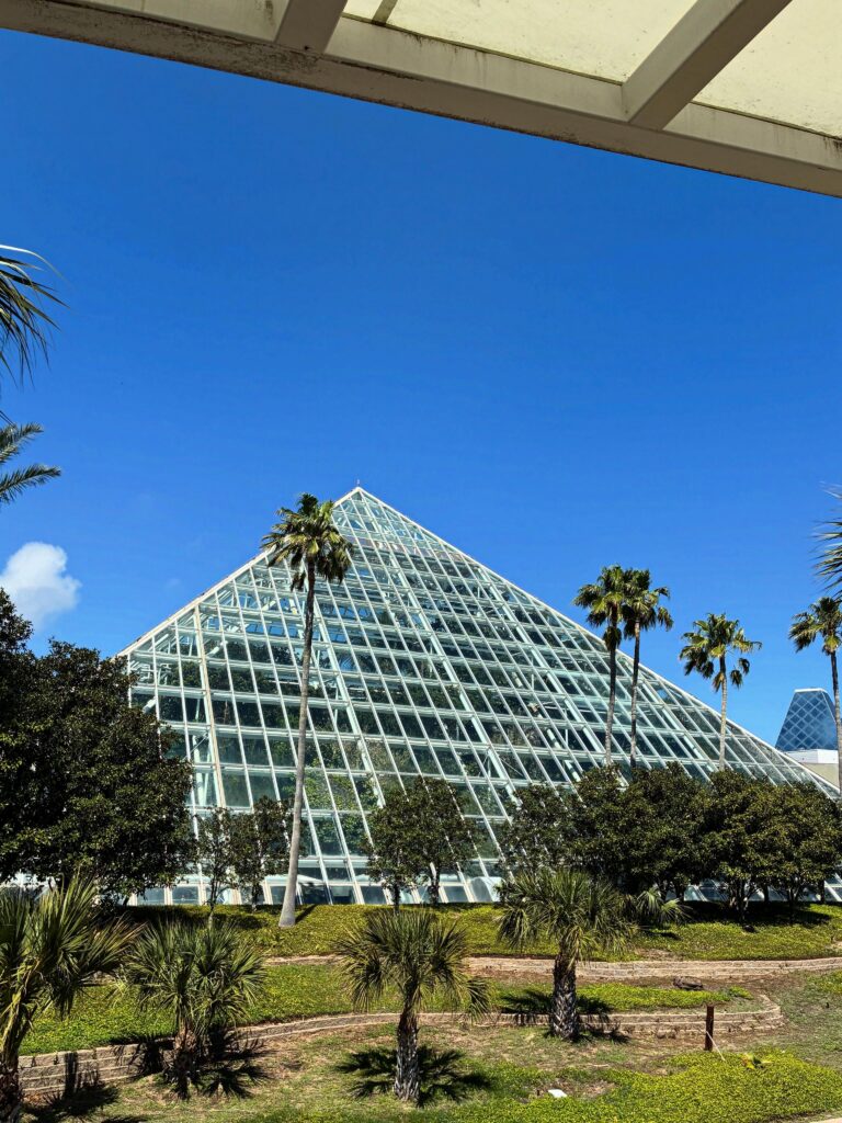 Moody Gardens Fill Your Galveston Day With Animals and Attractions