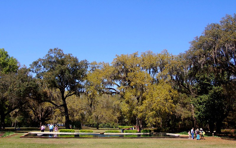 Morning at Eden Gardens State Park: Mossy Oaks, Gardens, and Old Florida Beauty