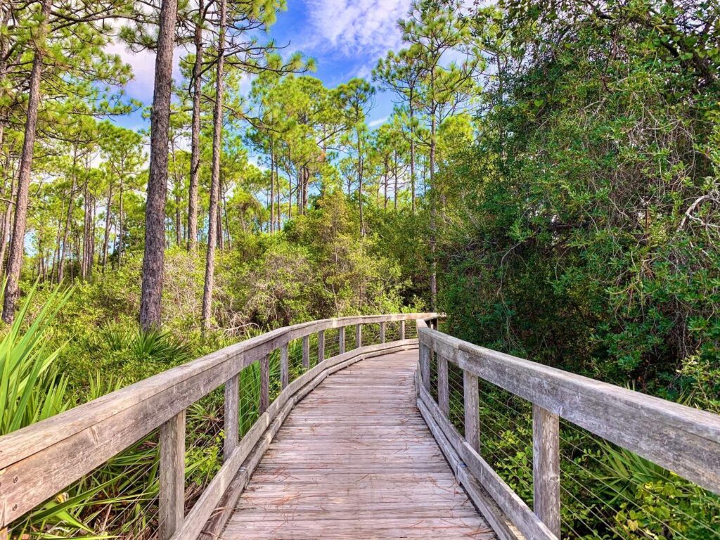 Morning on Alys Beach Nature Trail: White Walls, Wide Paths, and Fresh Air