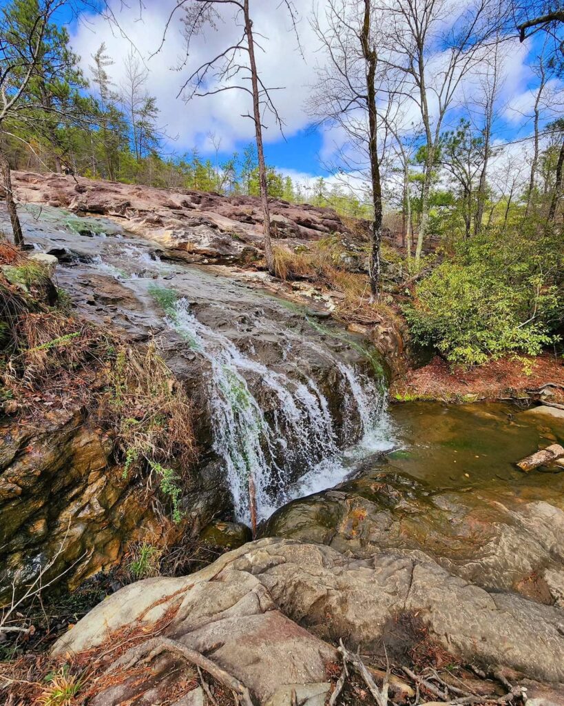 Moss Rock Preserve