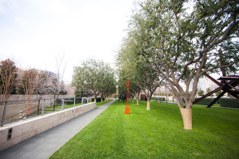 Nasher Sculpture Center Modern Art Inside and Outdoors