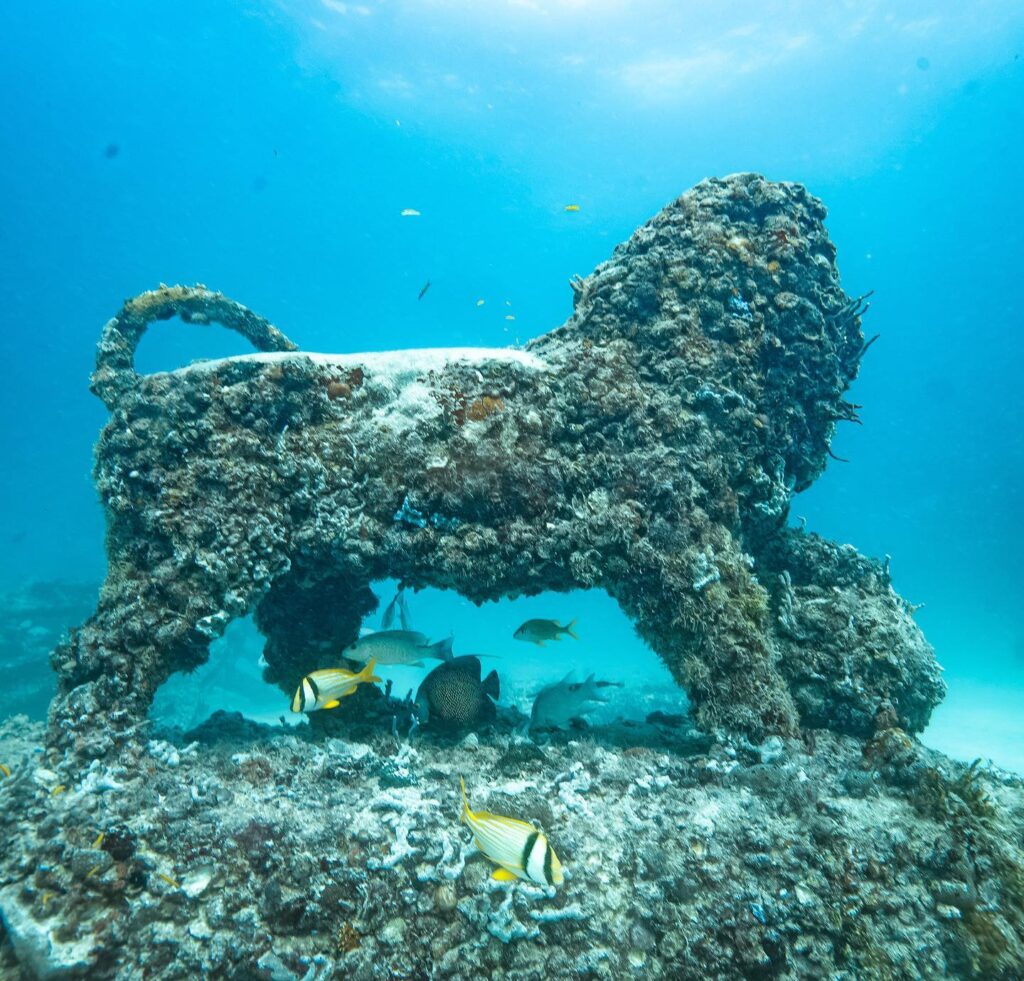 Neptune Memorial Reef: An Underwater Memorial Near Miami
