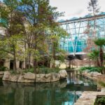 One Day in San Antonio: The Perfect 24-Hour Itinerary