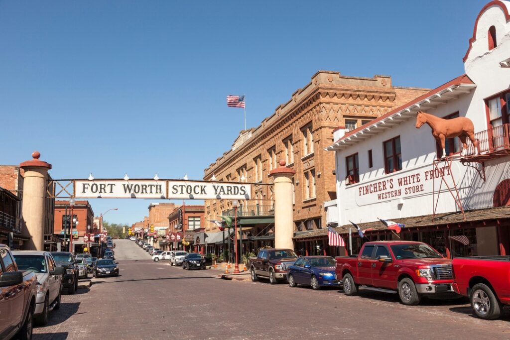 Option 1: Fort Worth Day Trip Adventure